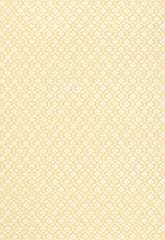 FSchumacher Wallpaper 5004144 Harbury Trellis Buttercup