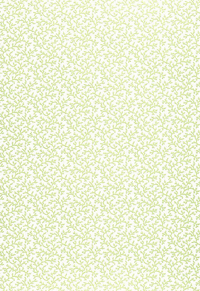 FSchumacher Wallpaper 5004412 Coral Vine Aloe
