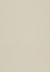 FSchumacher Wallpaper 5004760 Greek Key Bone