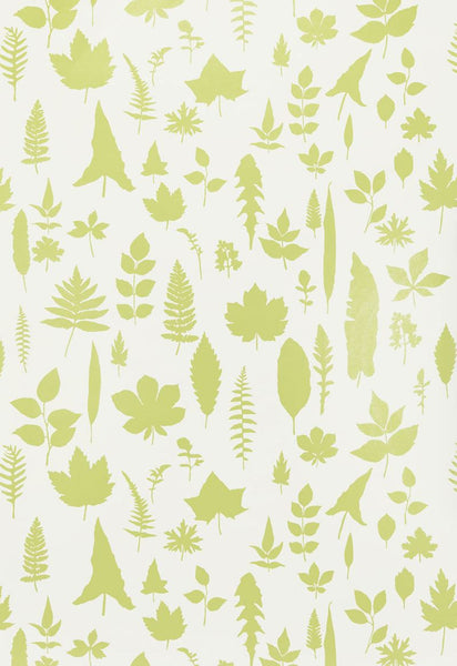FSchumacher Wallpaper 5005021 Leaves Chartreuse