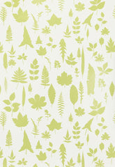FSchumacher Wallpaper 5005021 Leaves Chartreuse
