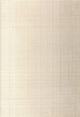 FSchumacher Wallpaper 5005782 Brushed Plaid Oyster