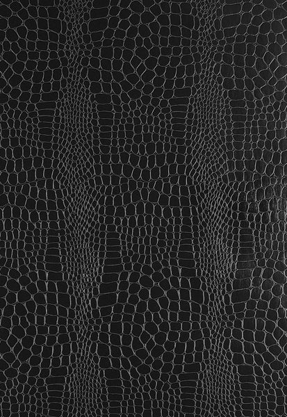 FSchumacher Wallpaper 5005834 Crocodile Jet
