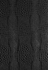 FSchumacher Wallpaper 5005834 Crocodile Jet