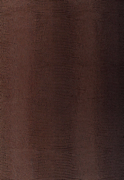 FSchumacher Wallpaper 5005840 Lizard Java
