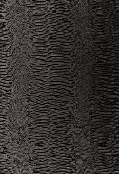 FSchumacher Wallpaper 5005841 Lizard Carbon