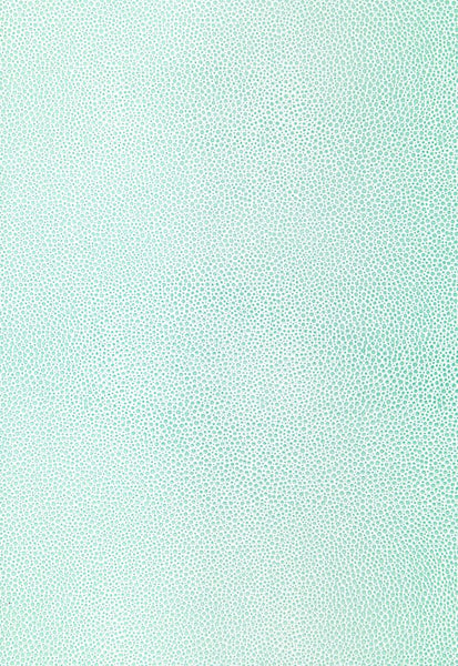 FSchumacher Wallpaper 5005851 Shagreen Caribbean