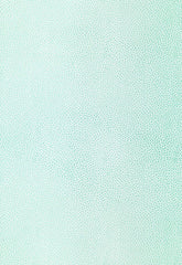 FSchumacher Wallpaper 5005851 Shagreen Caribbean
