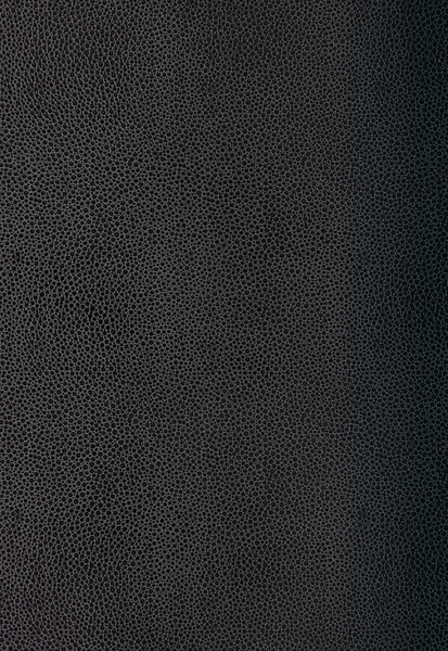FSchumacher Wallpaper 5005854 Shagreen Carbon