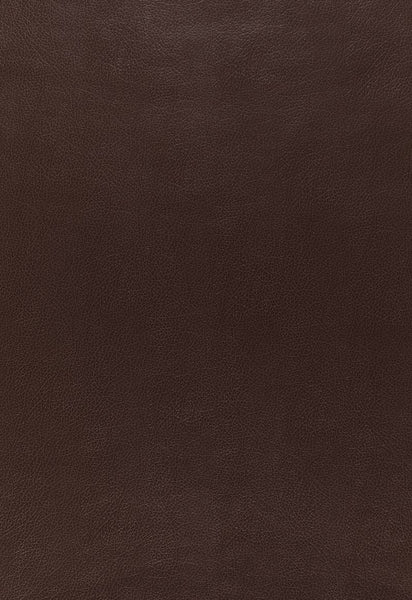 FSchumacher Wallpaper 5006211 Canyon Leather Java