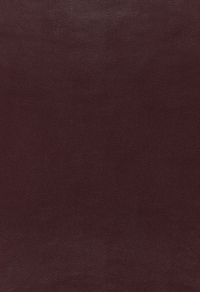 FSchumacher Wallpaper 5006213 Canyon Leather Port