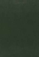 FSchumacher Wallpaper 5006214 Canyon Leather Hunter