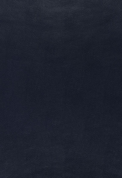 FSchumacher Wallpaper 5006215 Canyon Leather Navy