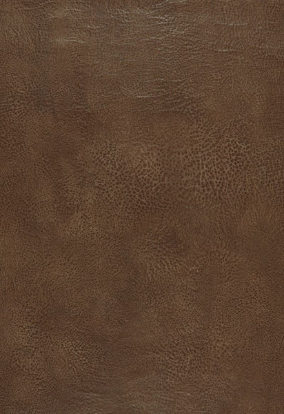 FSchumacher Wallpaper 5006262 Amarillo Black Walnut