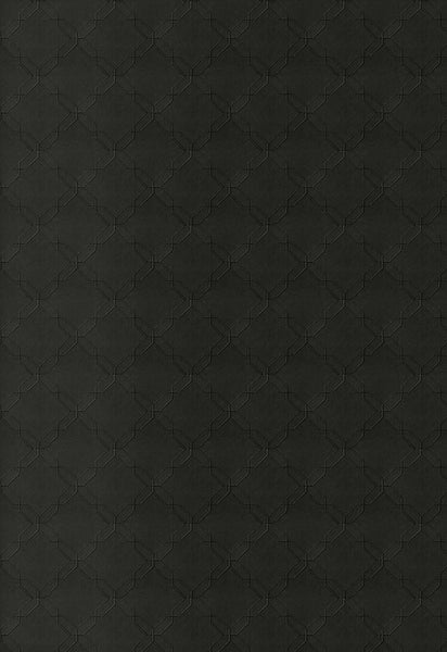FSchumacher Wallpaper 5006301 Wyoming Sidewall Raven