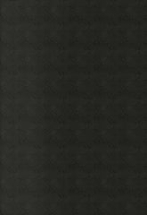 FSchumacher Wallpaper 5006301 Wyoming Sidewall Raven