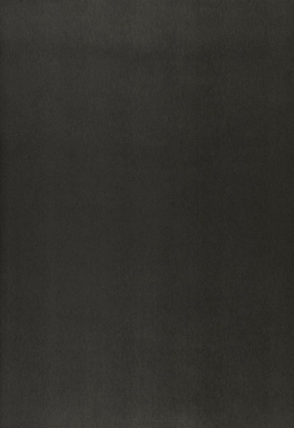 FSchumacher Wallpaper 5006313 Jackson Sidewall Raven