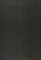 FSchumacher Wallpaper 5006313 Jackson Sidewall Raven