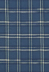 FSchumacher Fabric 50204 Check Rustique Atlantic Blue