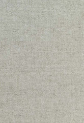 FSchumacher Fabric 51340 Corsica Weave Mist