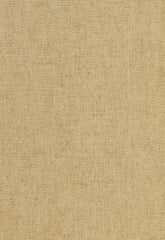 FSchumacher Fabric 51342 Corsica Weave Straw