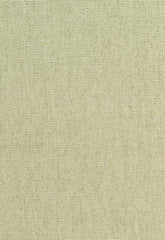 FSchumacher Fabric 51344 Corsica Weave Celadon