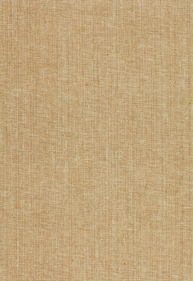 FSchumacher Fabric 51800 Adi Silk Matka Ivory
