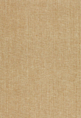 FSchumacher Fabric 51800 Adi Silk Matka Ivory