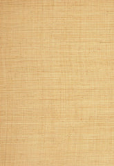 FSchumacher Wallpaper 528940 Fidenza Ground Natural