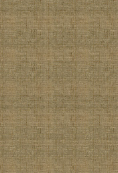 FSchumacher Wallpaper 528941 Fidenza Ground Patina