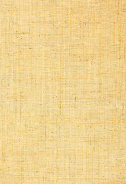 FSchumacher Wallpaper 528942 Fidenza Ground Straw