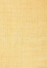 FSchumacher Wallpaper 528942 Fidenza Ground Straw