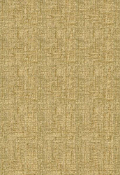 FSchumacher Wallpaper 528943 Fidenza Ground Sage