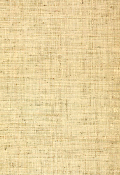 FSchumacher Wallpaper 528944 Bellezza Ground Sand