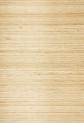 FSchumacher Wallpaper 529780 Surin Silk Sand