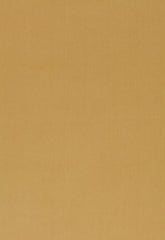 FSchumacher Fabric 54380 Luana Chamois