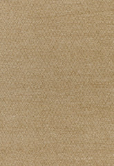 FSchumacher Fabric 54612 Pavia Parchment