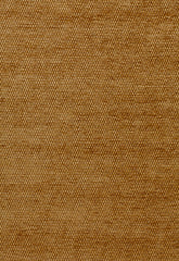 FSchumacher Fabric 54712 Lia Coin