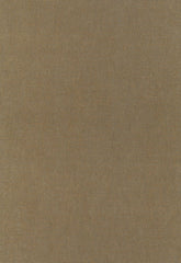 FSchumacher Fabric 54885 Chiaroscuro Velvet Mink