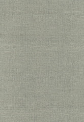 FSchumacher Fabric 54965 Delacroix Silk Ottoman Nickel