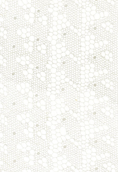 FSchumacher Fabric 55490 Tracery Lace Silver