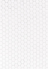FSchumacher Fabric 55600 Anastasia Eyelet White