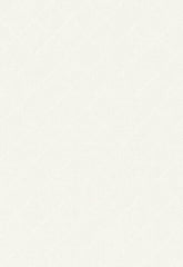 FSchumacher Fabric 55840 Madeleine Sheer Embroidery Eggshell