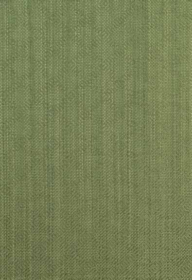 FSchumacher Fabric 60302 Villis STRIE' Emerald