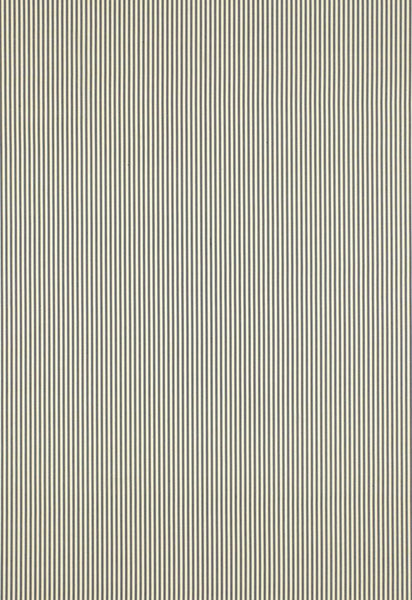 FSchumacher Fabric 60920 Charee Silk Stripe Black &amp; White