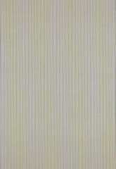 FSchumacher Fabric 60920 Charee Silk Stripe Black &amp; White