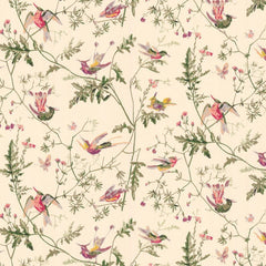 Cole & Son Wallpaper 62/1001.CS Hummingbirds Cream
