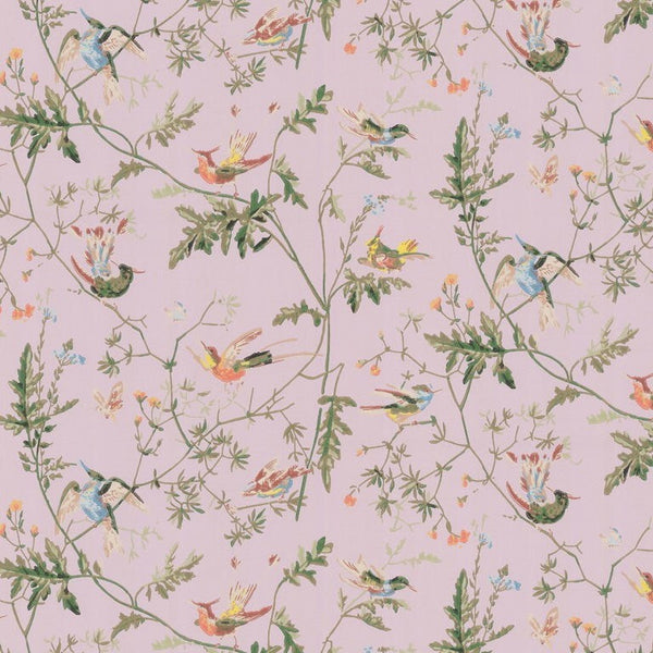 Cole & Son Wallpaper 62/1003.CS Hummingbirds Lilac