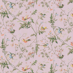 Cole & Son Wallpaper 62/1003.CS Hummingbirds Lilac