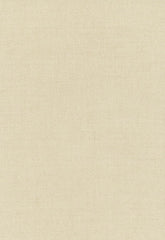 FSchumacher Fabric 62000 Kenmare Linen Plain Natural